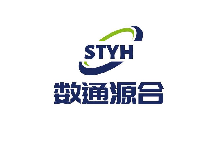安徽数通源合信息技术 数字化浪潮中的智囊先锋